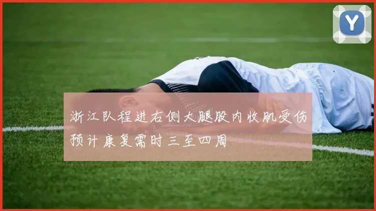 浙江队程进右侧大腿股内收肌受伤预计康复需时三至四周