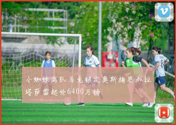 小蜘蛛离队马竞锁定奥斯梅恩加拉塔萨雷起价6400万镑